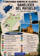 CARTEL PROGRAMA II CONVIVENCIA MUNICIPIO DE VALDEPOLO